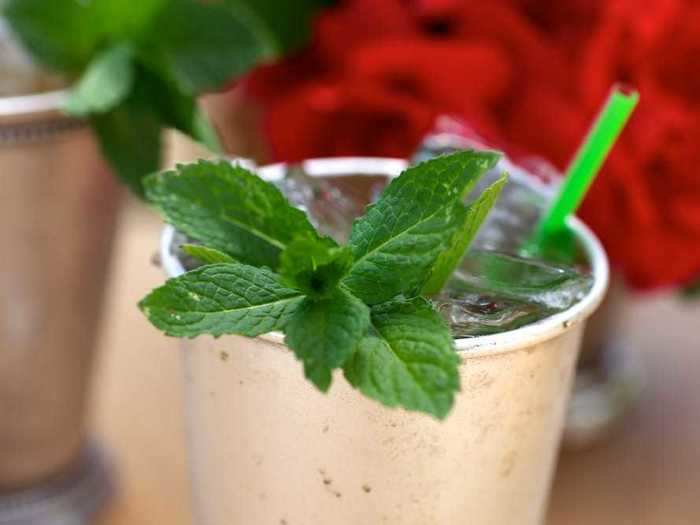 KENTUCKY: Mint julep