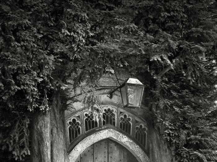 These two yew trees, which flank the door to the Church of St. Edward in Stow-on-the-Wold, England, were probably survivors of an avenue of trees that led to the door of the church.