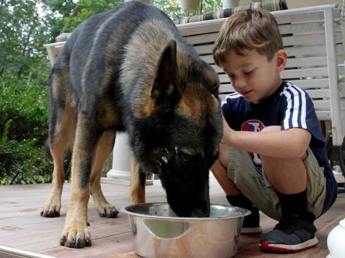 A pet can also teach your child about responsibility.