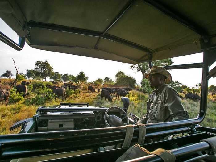 Throughout the 12-day journey, the press release says guests will be accompanied by specialized guides and experts in a variety of conservationist fields.