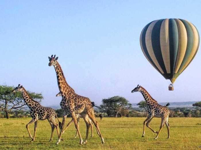 The epic trip is described as "the greatest and most impactful safari experience on Earth."