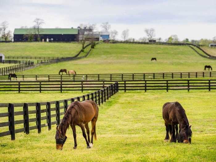 Kentucky Horse Park Campground — Lexington, Kentucky
