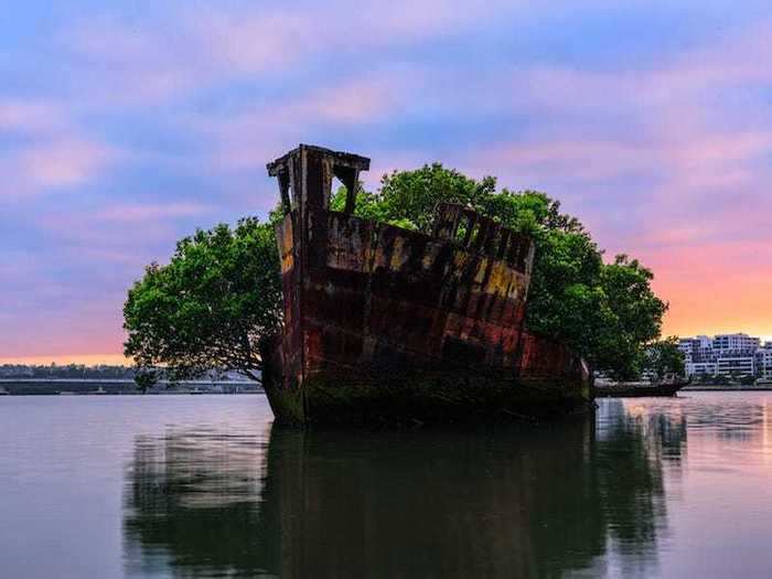 Floating Forest, Sydney, Australia