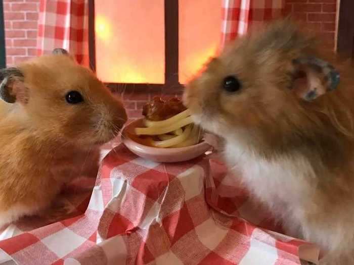 Borrill has been creating scenes like this one of her hamsters reenacting the iconic "Lady and The Tramp" scene for five or six years.