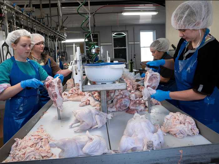 Chicken is also produced in large factories in close quarters, making supply disruptions more likely than in other industries.