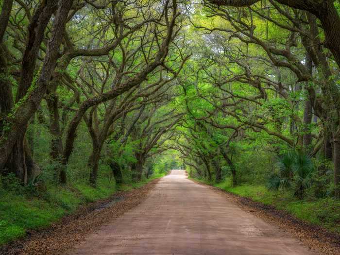 South Carolina: Botany Bay Boulevard