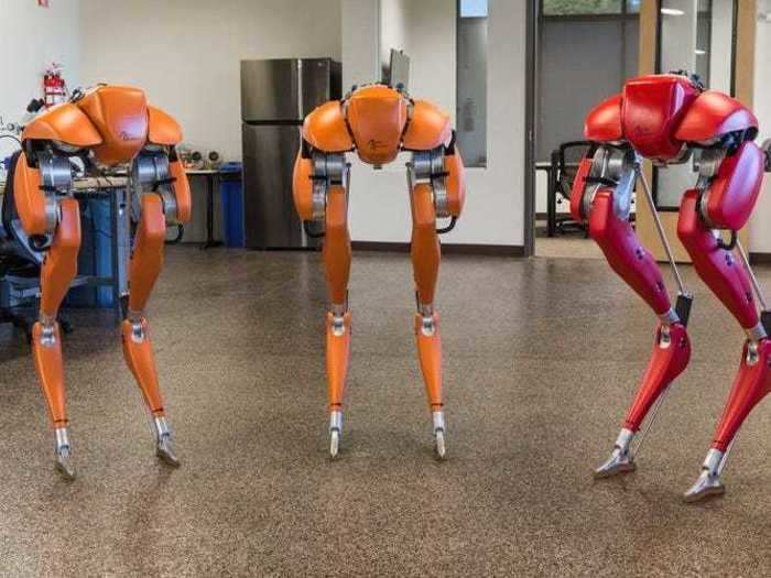 In 2017, Agility launched Cassie, a two legged robot used mostly for research.