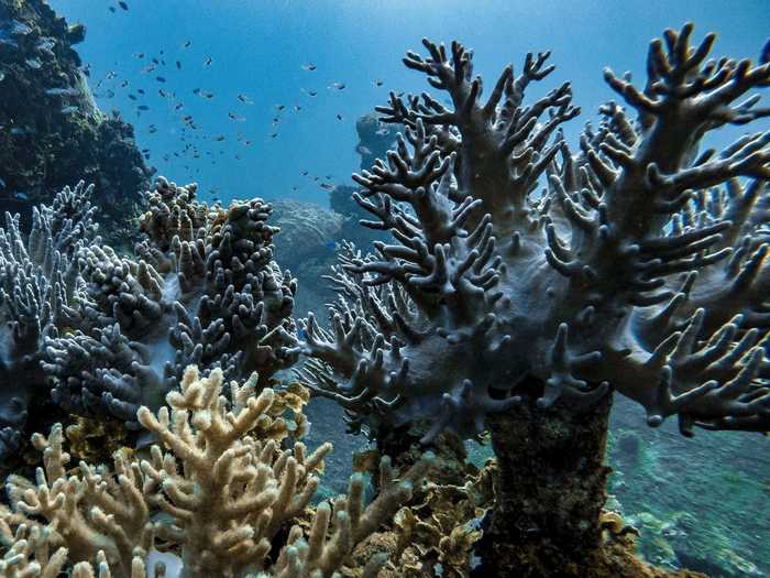 Chuuk Lagoon in the central Pacific Ocean is surrounded by a huge barrier reef.