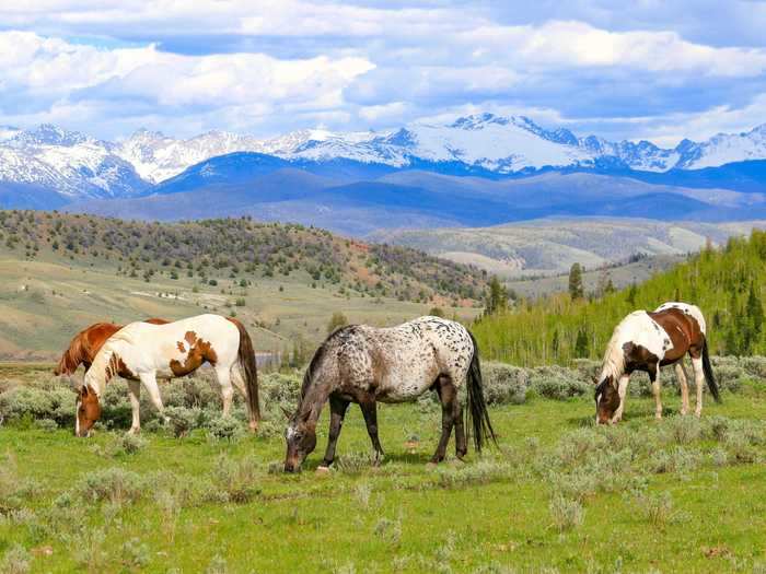 C Lazy U Ranch – Granby, Colorado