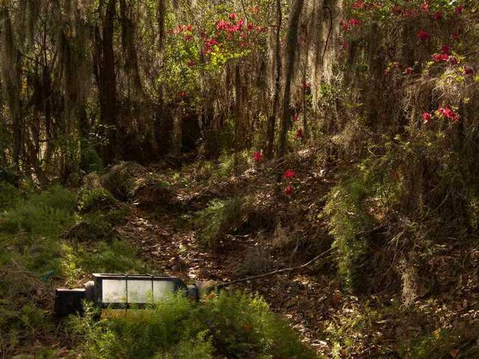 Now the park is overgrown and decaying, and the area has a haunting quality to it.