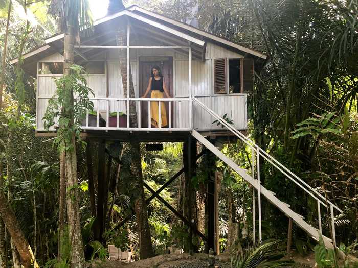 The tree house I stayed in was even cooler than I expected.