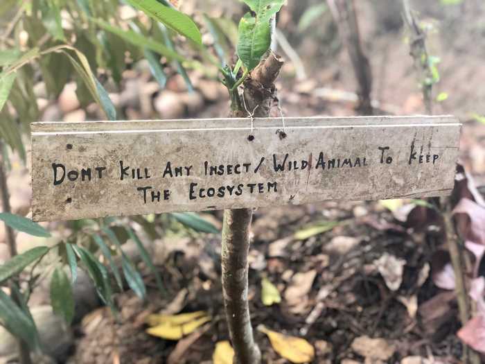 There are also signs outside of the tree houses that remind visitors to protect the space.