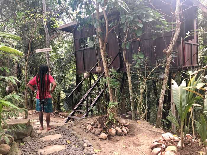 The farm currently has two tree houses that guests can stay in.