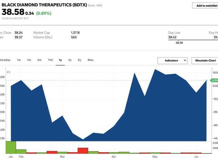 10. Black Diamond Therapeutics