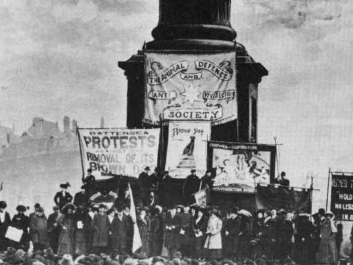 The Brown Dog Statue in London caused what has since been named the "Brown Dog Riots."