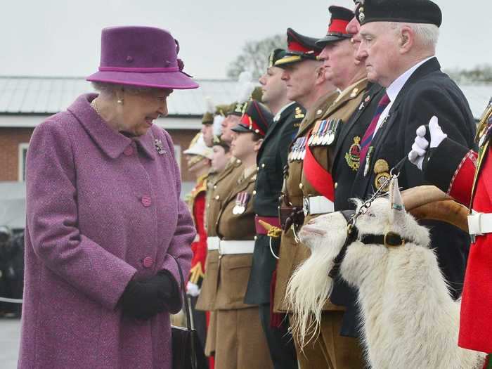 The Royal Welsh Regimental Family