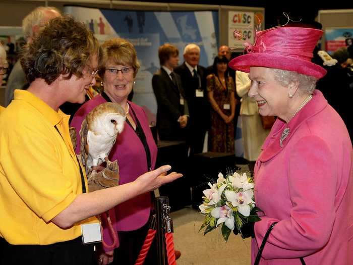 In Wales, she greeted an owl.