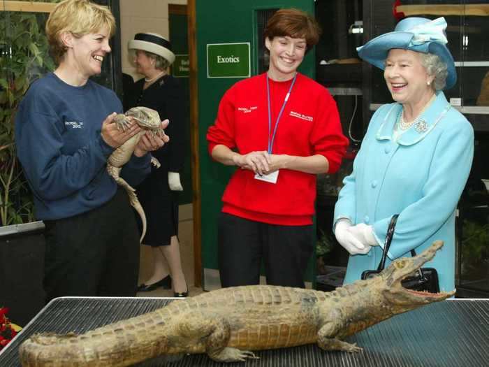 Queen Elizabeth met Bart the Bosc monitor lizard in Yorkshire.