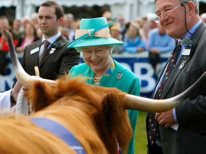 She looked pleased to meet a Highland cow in Edinburgh, Scotland.