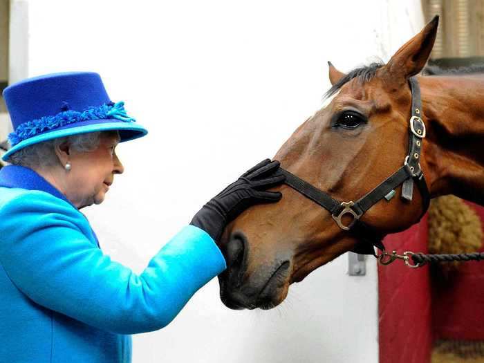 She visited an equine hospital in 2014 to bring some cheer to the horses in their care.