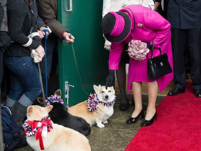 She always takes the time to pat their furry heads when she sees them at events.