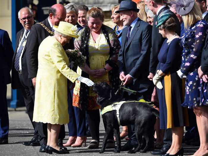 Queen Elizabeth has a soft spot for dogs.