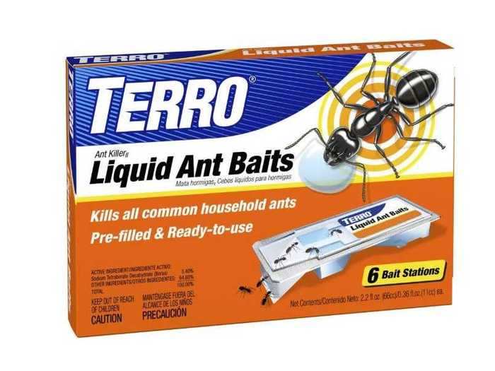 The best ant bait