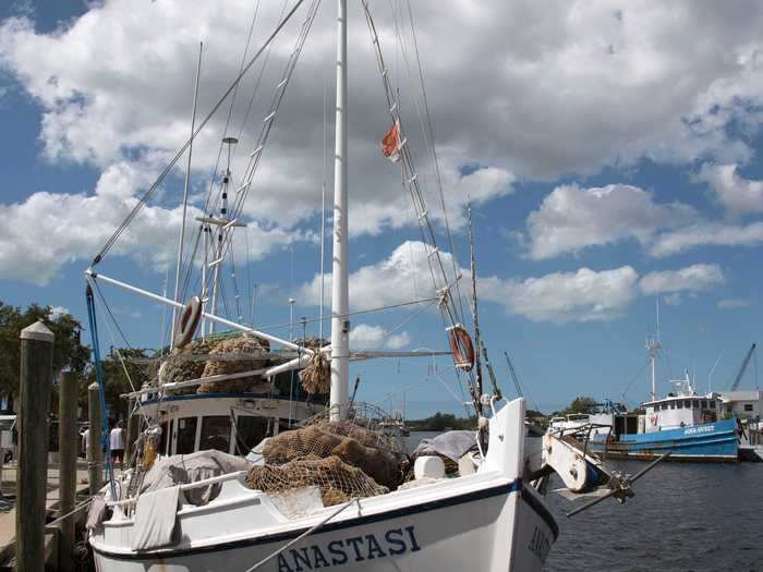 Tarpon Springs, Florida, brings a slice of Greek life to the Tampa Bay area.