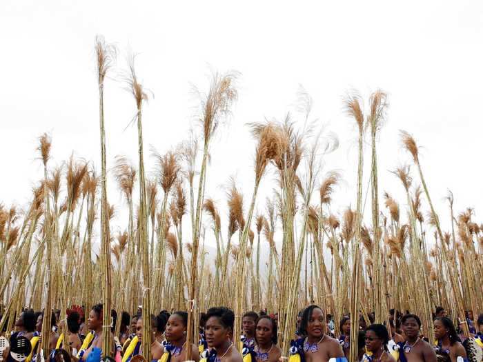 It belongs to Swaziland, or Eswatini, one of the smallest countries in Africa.