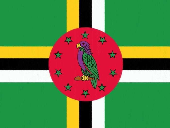 The parrot on this flag is only found in this country.