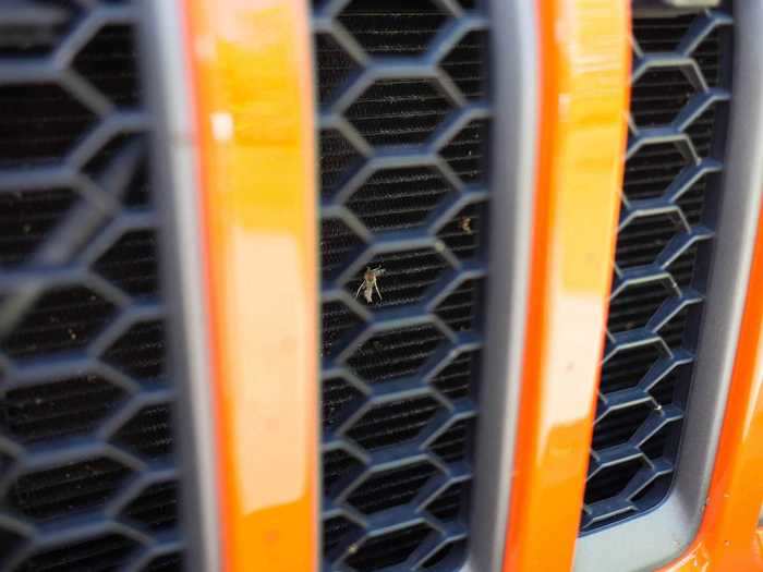 The big, seven-slot grille traps a lot of bugs, sadly.