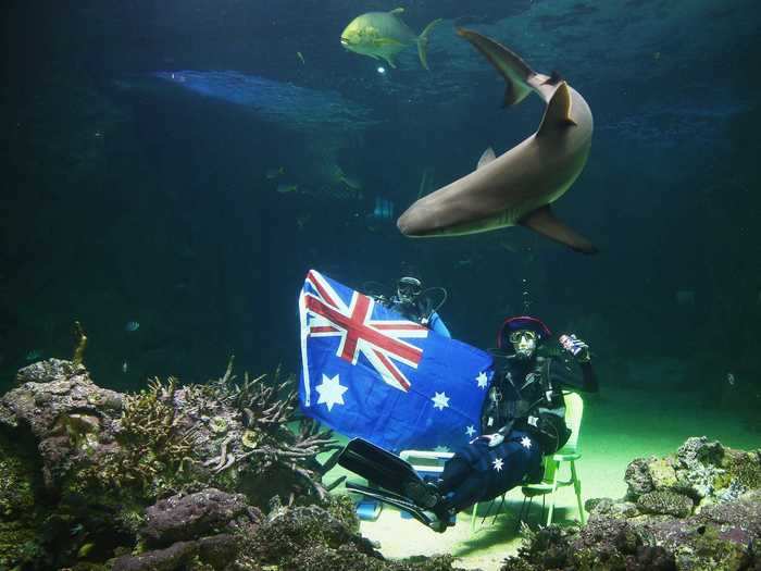 ... while Australians celebrated Australia Day by introducing sea life at the Sydney Aquarium to their national flag.