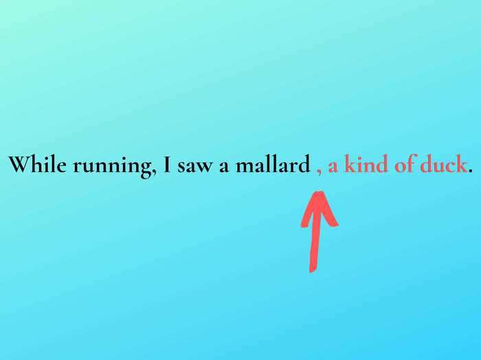 3. Use commas to offset appositives from the rest of the sentence.