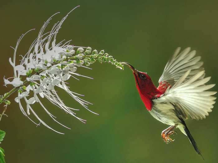 "Reflection," taken by Budi Gunawan, earned second place in the mobile photography category.