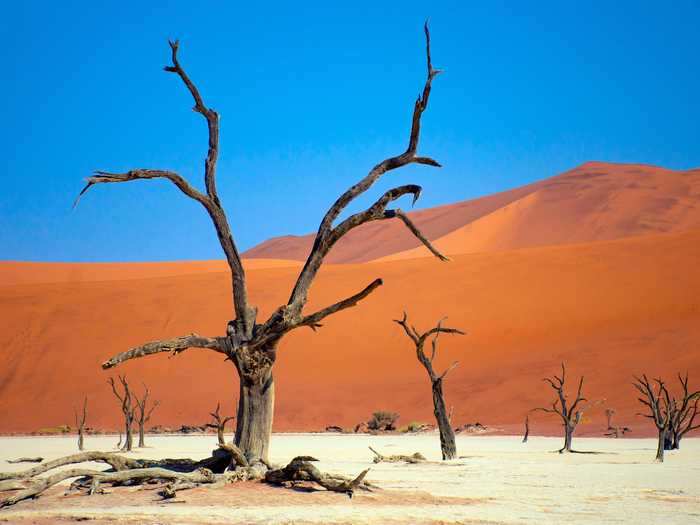 Deadvlei in Namibia looks like a painting, but is an actual barren landscape inside Namib-Naukluft National Park.