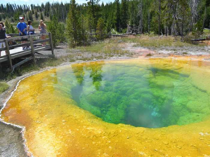 Morning Glory Pool in Yellowstone National Park glows in vibrant yellow, blue, and green.