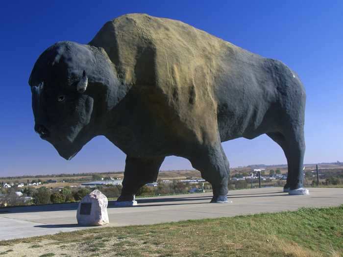 NORTH DAKOTA: Buffalo