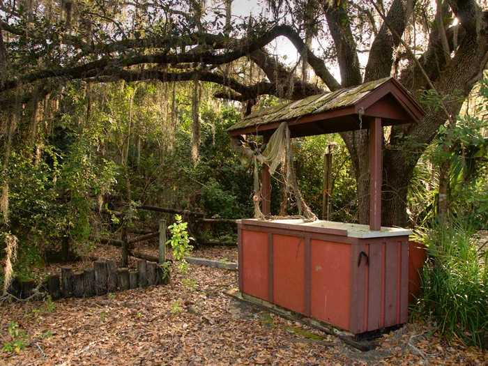 Lawless hopes that Disney will repurpose the land in the park to be more hospitable to surrounding wildlife.