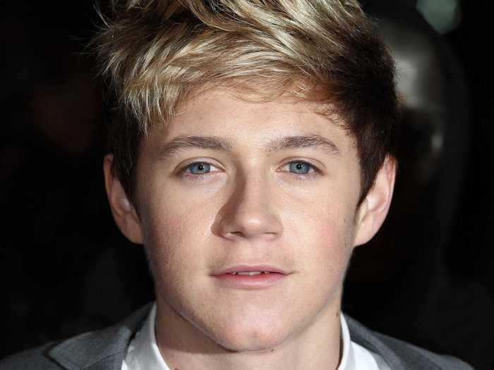 Niall Horan set his sights on stardom at the beginning of his career.