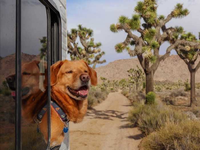 Boucek said it took their family a little while to get used to the RV, but now they love it.