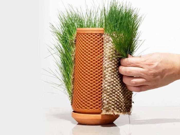 The planter is reusable, so if you want to replace a plant with another, simply peel it off.