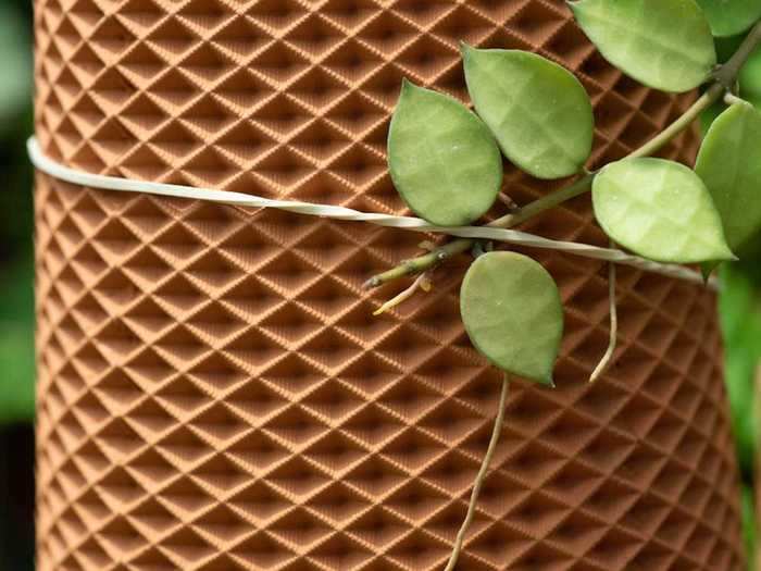 You can use rubber bands to mount the plant onto it or wrap the branches of a climbing plant around it.