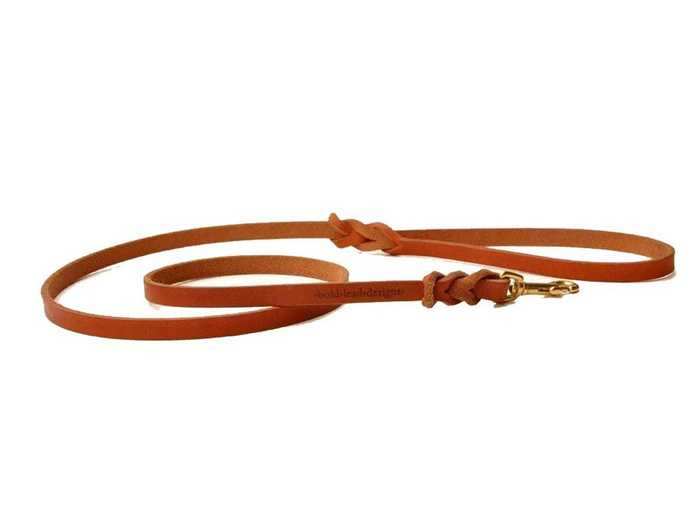 A lightweight 4- to 6-foot-long nylon or leather leash