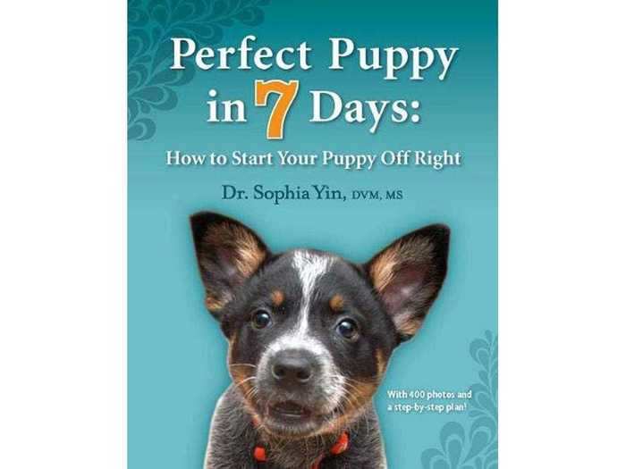 An accessible, well-illustrated book on puppy training