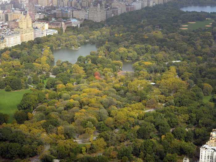 All of Central Park can be seen from the 75th floor.