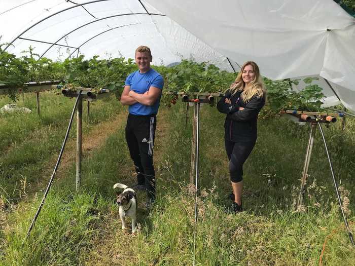 I was joined by Dan and Beth, who are part of the six-man team currently working at the farm and had been up at 7 am to pick strawberries.