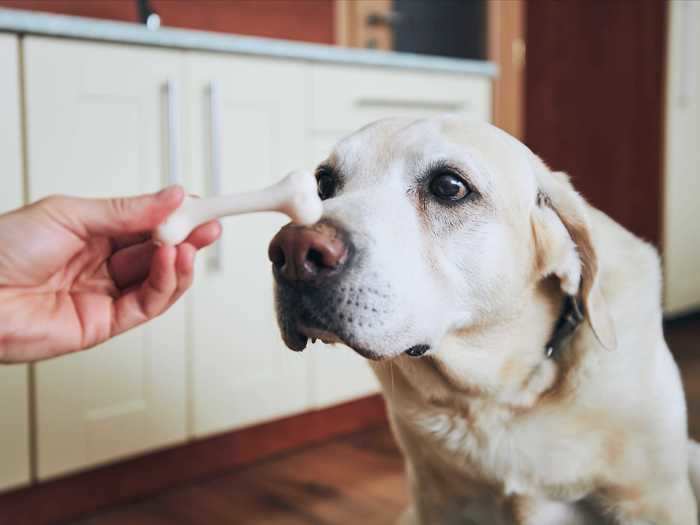 Dog treats can be created easily at home so you know exactly what your dog is eating.