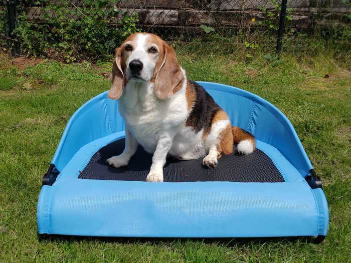 An outdoor bed as comfortable as the couch