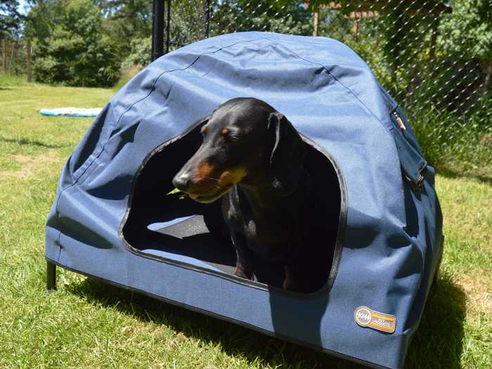 A tent bed that protects pets from sun and rain