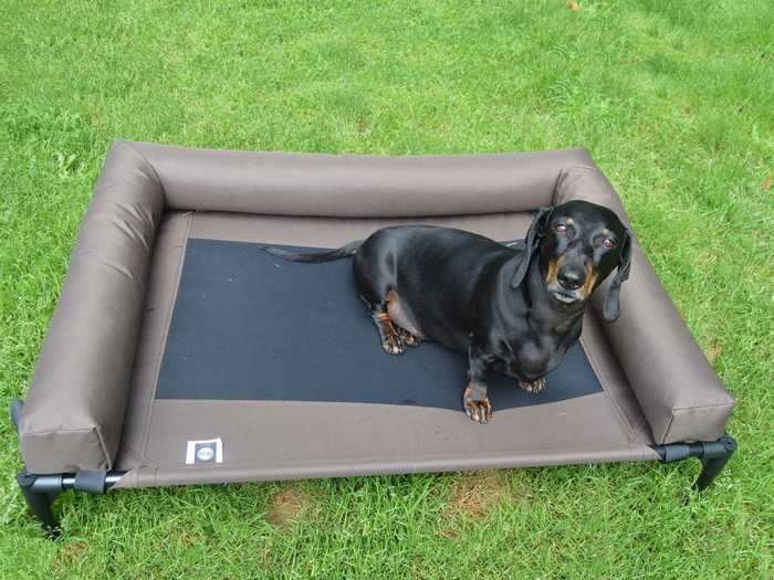 A bolster bed for dogs that like to curl up